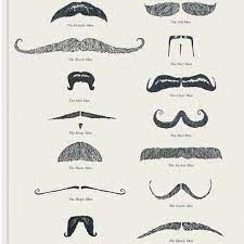 Dresscolorfully Options Beard No Mustache Mustache Moustache