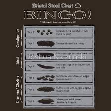 Bristol Stool Chart Bingo The Best T Shirt You Have Ever