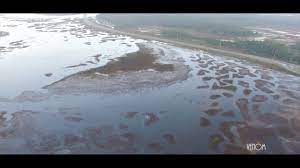 Turn georgia blue on tuesday, november 3rd. Butter Bean Beach Youtube