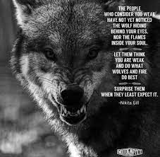 Pin On Wolf Quotes
