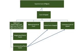 39 Exact California Court System Flow Chart
