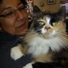 Memories of Douglas Leslie Tinsler