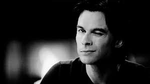 Black and white picture wall black and white pictures cat aesthetic purple aesthetic the vampire diaries logo bedroom wall collage damon salvatore pink walls ian somerhalder. Funny Gifs Damon Salvatore Gif Vsgif Com