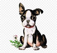 1000 x 1414 jpeg 311 кб. Vintage Boston Terrier Puppy Boston Terrier Easy Drawing Png Boston Terrier Png Free Transparent Png Images Pngaaa Com