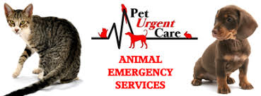 Maybe you would like to learn more about one of these? Pet Urgent Care 428 West 800 North Orem Reviews And Appointments Topvet