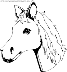 Coloriage Cheval Tete De Poulain Coloriage Cheval Coloriage Cheval A Imprimer Coloriage