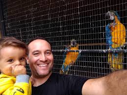 Soyez assez près des animaux pour les toucher. Parque Safari Vale A Pena Ir Neste Post Te Contamos