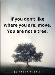 Inspirational Quotes If You Don T Like Where You Are Move You Are Not A Tree