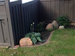Best reviews guide analyzes and compares all fence stains of 2021. Benjamin Moore Dragons Breath Semi Solid Stain On Cedar Fence I Love The Depth And Richness Of This Color Backyard Fences Black Garden Fence Cedar Fence