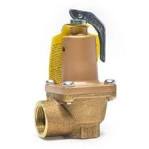 Watts 174A Pressure Relief Valves - m