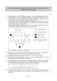 For the two extended investigations of the chamber in 2013 and 2014, dr. I0 Wp Com S1 Studylibde Com Store Data 00171459