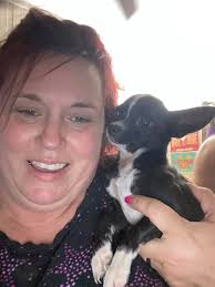 Found. Now at kalamazoo animal control