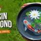 Resin Koi Pond Art -Mumbai event image