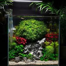 Pin By Maribel Lee On Nano Tank Nature Aquarium Aquarium Landscape Planted Aquarium