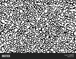 Related searches for butterflies black and white pictures: Black White Isolated Vector Photo Free Trial Bigstock