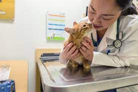 Banfield Pet Hospital 13 Photos 33 Reviews Veterinarians 2360 W Oregon Ave Philadelphia Pa Phone Number