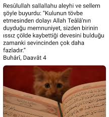 Hamd Adli Kullanicinin Ensevgiliden Sav Panosundaki Pin 2020 Ilham Verici Alintilar Guzel Soz Ilham Verici
