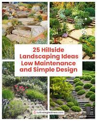 We did not find results for: 25 Hillside Landscaping Ideas With Low Maintenance