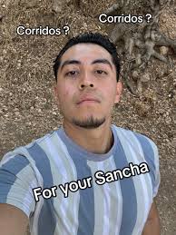 olebrandselect #corridos #foryoypage #foryou #parati