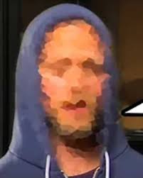 Review of the Abby Hydroponic Garden