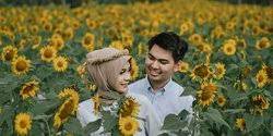 Bunga matahari yang indah ini selain sebagai tanaman hias juga dapat dibudidayakan sebagai makanan. 6 Kebun Bunga Matahari Paling Instagram Able Di Indonesia Merdeka Com