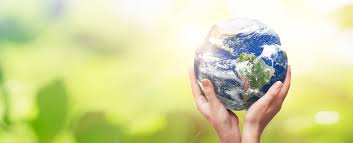 Image result for Science Environment Environmental Health Directories