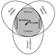 Nervous Endocrine And Immune Systems Are Integrated In A Communication Download Scientific Diagram