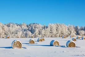 2020 2021 Winter Forecast Winter Weather Forecast Old Farmers Almanac Winter Forecast