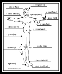 There three sections are as follows: Pin On Nursing