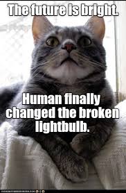 Pin By Louise A On Kat Kritters Funny Cat Memes Cat Memes Funny Cats