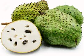 The flesh of the ripened graviola or sour sop fruit is milky white. The Superfruit Called Soursop