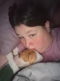 My pit loves to get up in the pillows and sleep