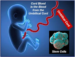 Store the donated blood for use by the donor and family members only. Exploring Innovative Medicinal Wonders Cord Blood Banking