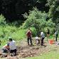 Native Garden Maintenance Volunteer Event — event image