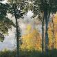 Fall Foliage Knitting Retreat