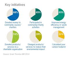 Key Csr Initiatives Chart Corporate Social Responsibility
