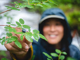 Certified Sustainable Travel at Ecolodge in Kenai Fjords, Seward, Alaska