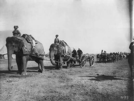 Elephant Battery of Heavy Artillery near Khyber Pass at Campbellpur by William Henry Jackson