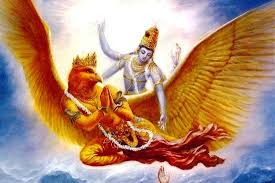 Garudasana Eagle Pose Eagle Pose Vishnu Pet Signs