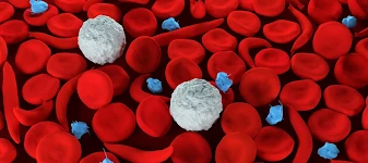 Image result for what is sickle cell treatment