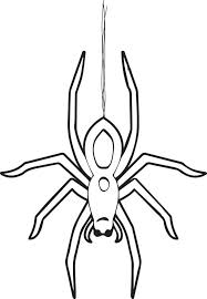 Spiders can spin amazing spider web coloring page : Coloring Pages Spider Spider Coloring Page Halloween Coloring Pages Coloring Pages