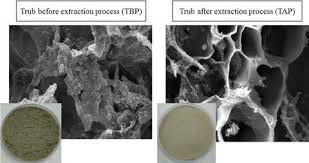 Benedita is a girl's name meaning blessed. Waste From Brewing Trub As A Source Of Protein For The Food Industry International Journal Of Food Science Technology X Mol