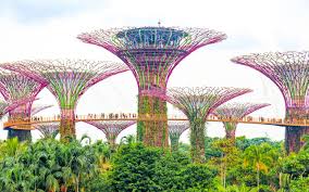 To make your trip more convenient, i've included some detailed tips on how to go to gardens by the bay by mrt in this guide. How To Visit Singapore S Gardens By The Bay In A Day