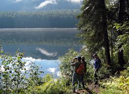 Turn into byers lake campground at mile 147 parks highway and follow the gravel road for one half mile from the highway to the public use cabin 2&3 signs. Alaska Nature Guides Byers Lake Nature Walk