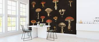 Mushroom Chart Affordable Wall Mural Photowall
