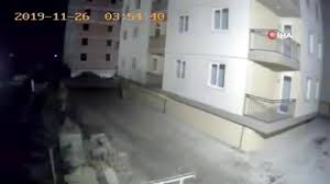 Depremi Hisseden Kedi Boyle Kacti Dailymotion Video