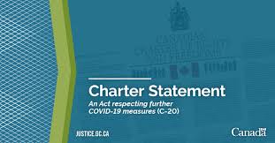 The act gives the minister for health the power to make regulations to introduce measures to slow down the spread of. Bill C 20 An Act Respecting Additional Covid 19 Measures