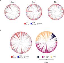 Antagonism Of Pp2a Is An Independent And Conserved Function