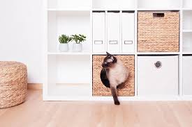 Katzenkorbchen Fur Ikea Kallax Regale Ikea Kallax Regal Kallax Regal Ikea