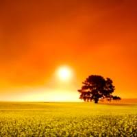 Maybe you would like to learn more about one of these? Tribute For Billy Donald Campbell Sr Maddux Fuqua Hinton Funeral Home